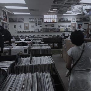 Meet your Posher, Lily